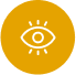 Vision