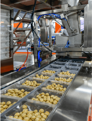 Food Processing